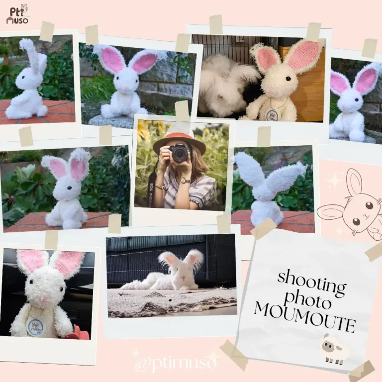 Montage d'une image d'un shooting photo d'un lapin blanc