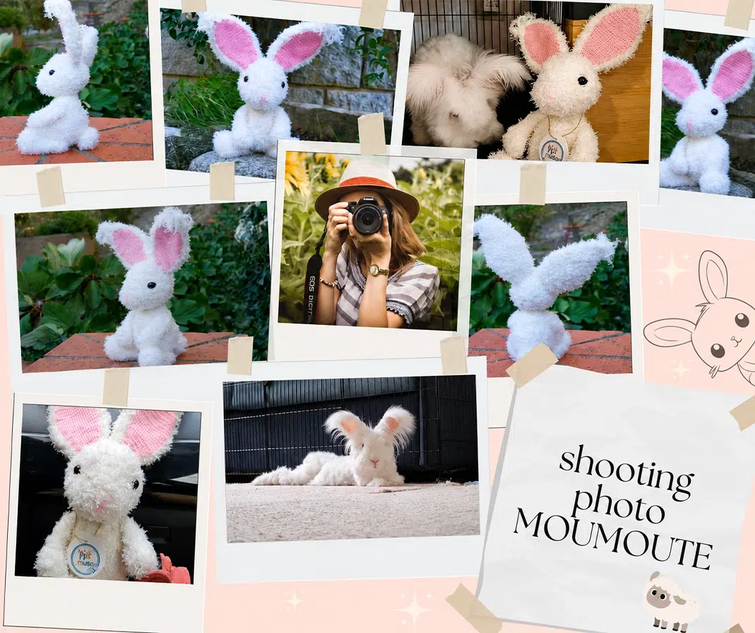 Montage d'une image d'un shooting photo d'un lapin blanc